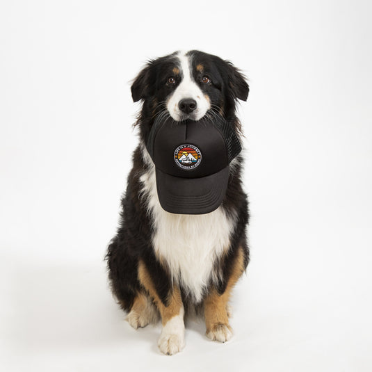 Cappellino da camionista LIFE IS A JOURNEY, nero, unisex 97326