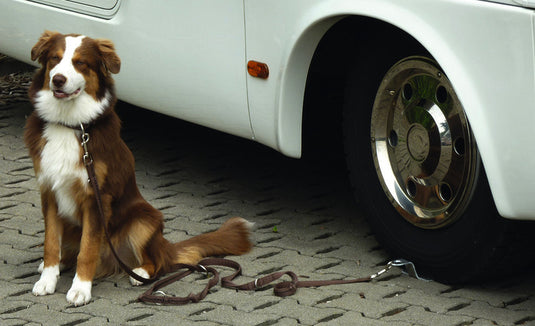 Supporto per cani Dog-Sitter, anche per cani di grossa taglia, piastra in alluminio 99313