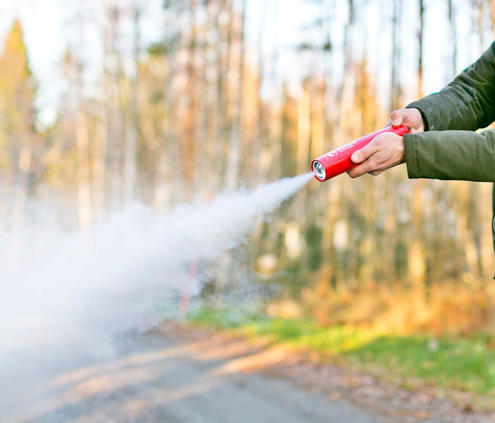 Load image into Gallery viewer, Estintore ad aerosol MAUS per le classi A,B,C+F + incendio elettrico 471551
