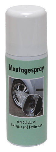 TireMoni montaggio spray 47413