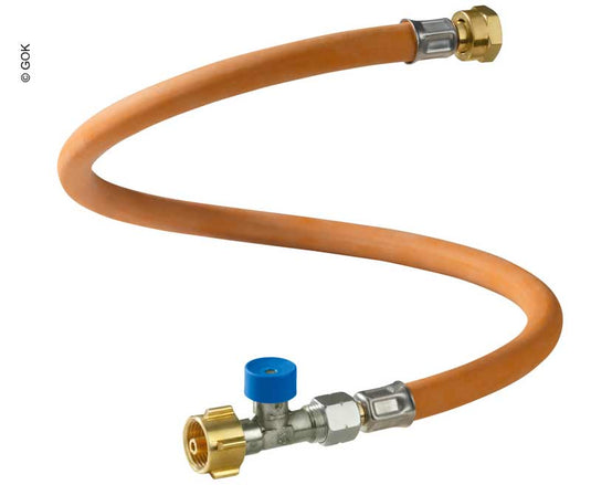 GOK Caramatic ConnectDrive G.10 POL-WS xM20x1,5UEMx750 SBS 75443