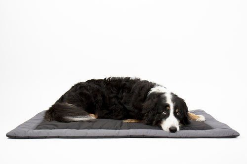 Outdoor-Decke für Hunde ABBY,100x65cm, schwarz/grau, wasserabweisend 993161