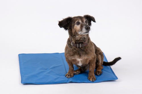 Comfort Kühlmatte für Hunde - blau 99322