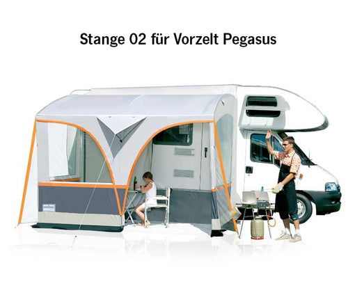 palo 02 per tenda da sole Pegasus E10424